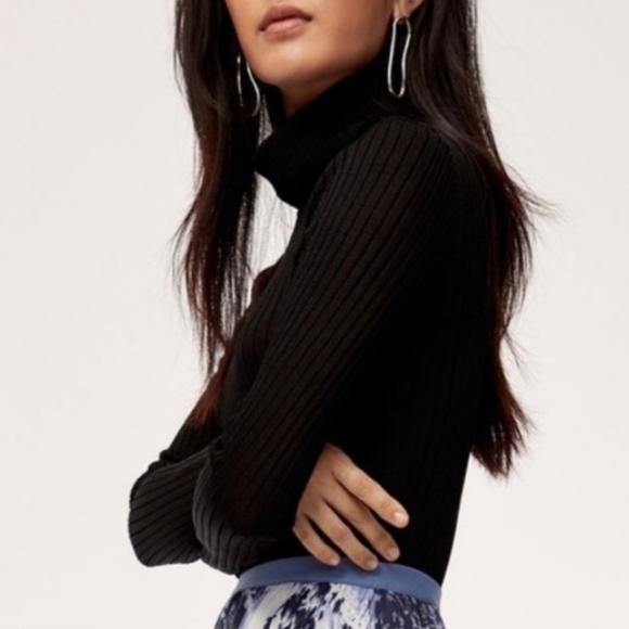 Aritzia Sweaters - Babaton Zander Turtleneck in Black